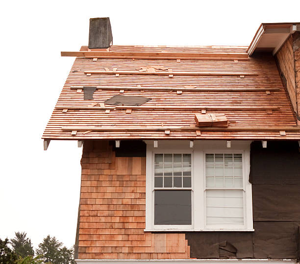 Storm Damage Siding Repair in Gray, LA